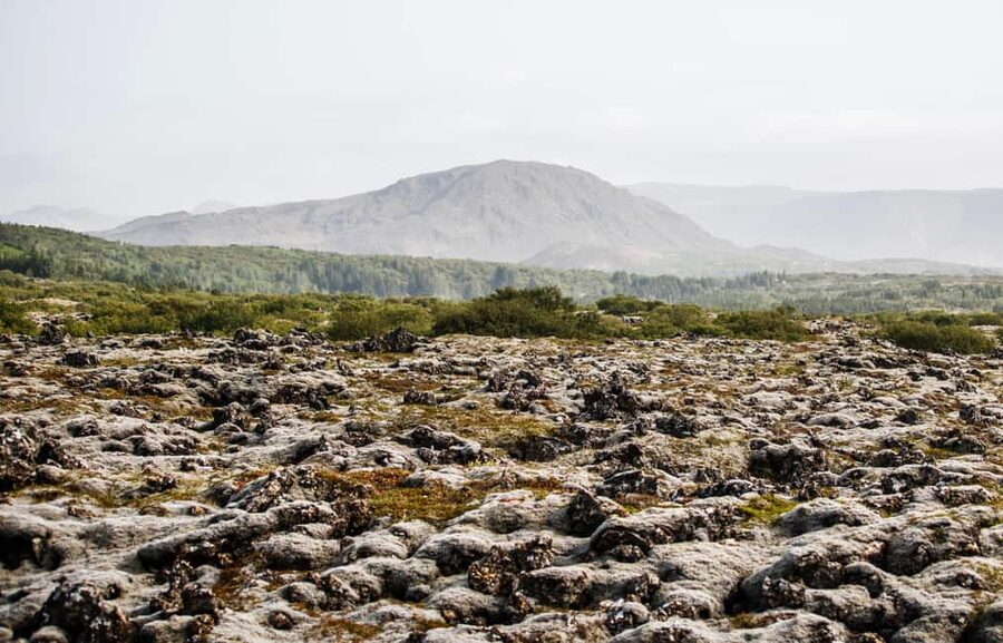 Hafnarfjörður: Horseback Riding Tour in Reykjavik Area - Is $132 a Fair Price for 50 Minutes?