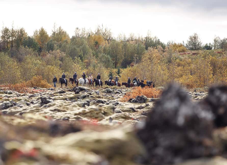 Hafnarfjörður: Horseback Riding Tour in Reykjavik Area - Who Should Book This Ride?