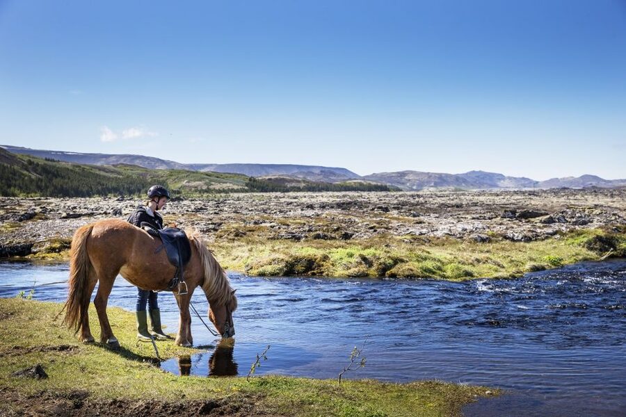 Hafnarfjörður: Horseback Riding Tour in Reykjavik Area - A Gentle 50-Minute Ride Through Lava Country