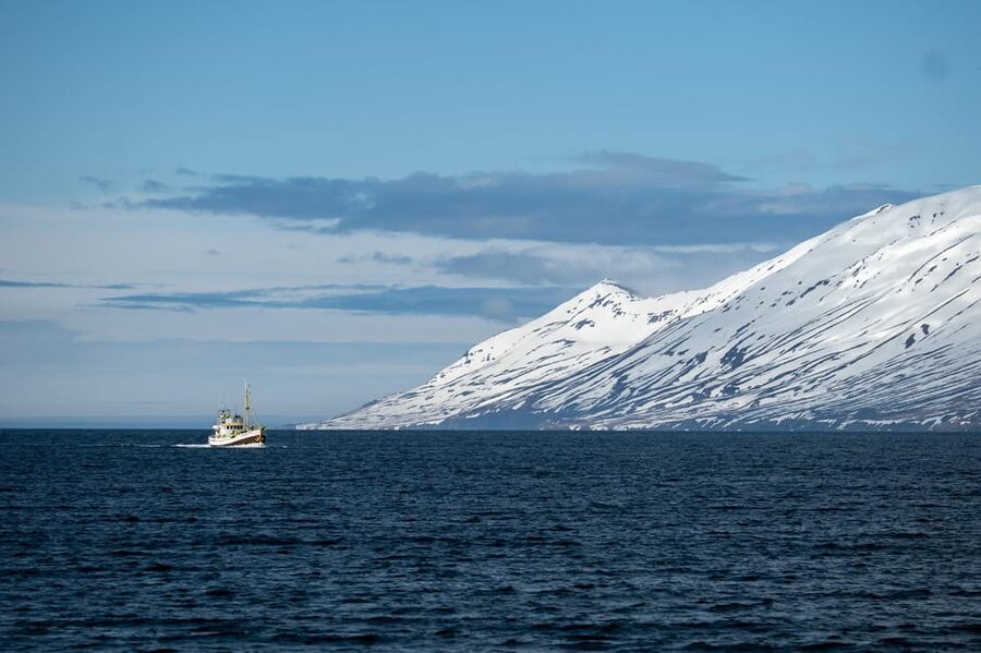 Hauganes: Whale Watching North Iceland - The first 30 minutes: a scenic cruise through Eyjafjörður