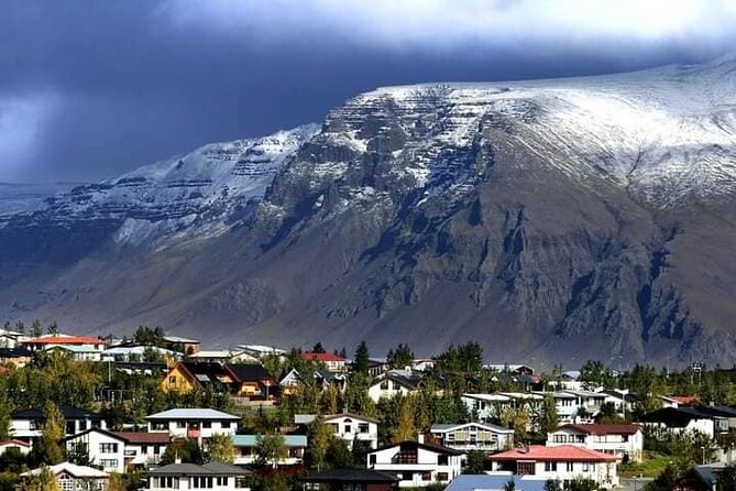 Helicopter Tour: Reykjavik City with landing at Mount Esja - Reykjavik from the helicopter window