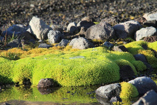 Highlights of Iceland / private guided super Jeep tour - Hraunfossar, water flowing from lava