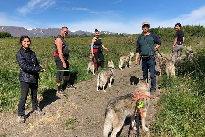 Hiking with Husky in Akureyri - How the trail changes with the group