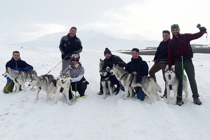 Hiking with Husky in Akureyri - What the $138.17 price gets you