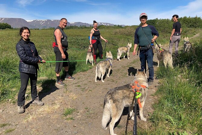Hiking with Husky in Akureyri (private) - A private tour that feels personal
