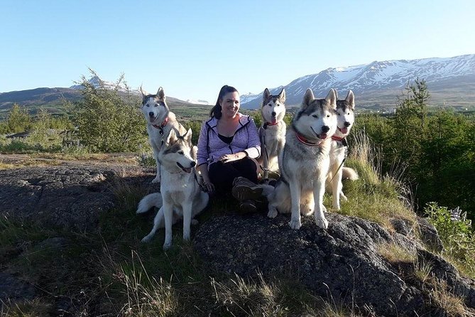 Hiking with Husky in Akureyri (private) - Why the scenery adds value