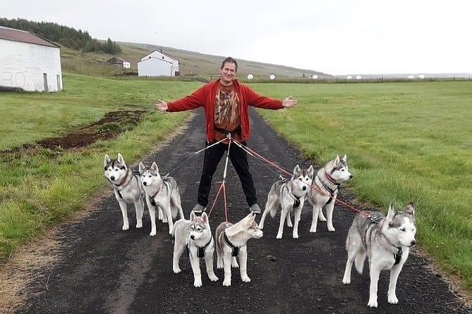 Hiking with Husky in Akureyri (private) - Weather, clothing, and practical expectations
