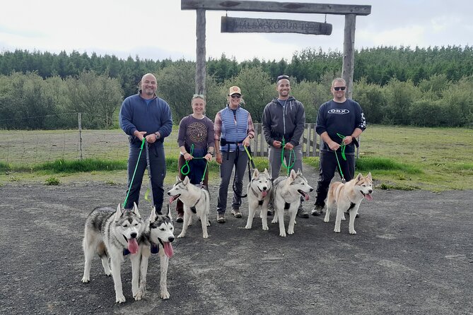 Hiking with Husky in Akureyri - Hiking with a working sled dog