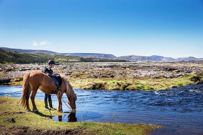 Horseback Riding Tour in Iceland - Meeting the Icelandic Horse at Ishestar