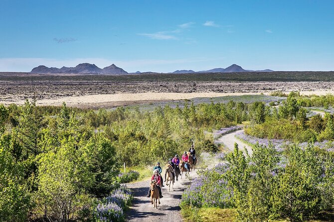 Horseback Riding Tour in Iceland - Bláfjöll Views Without a Full-Day Excursion