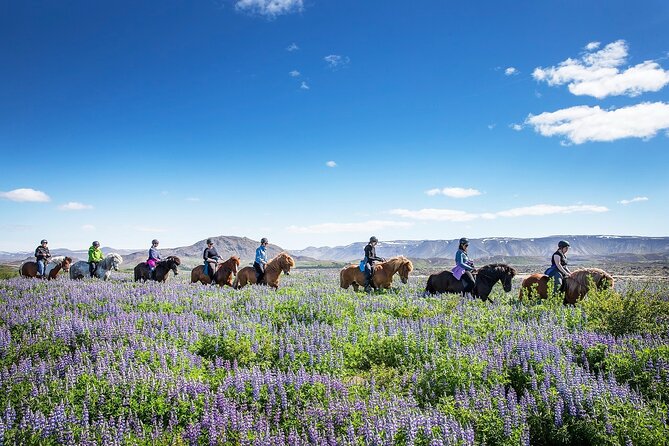 Horseback Riding Tour in Iceland - Guides, Group Size, and Personal Attention