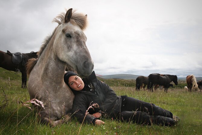 Horseback Riding Tour in Iceland - Is $135.16 Good Value?