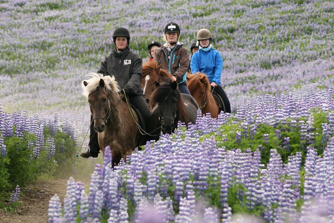 Horseback Riding Tour in Iceland - Booking Timing and Weather Planning
