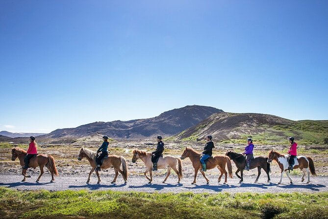 Horseback Riding Tour in Iceland - Why the Icelandic Horse Makes This Ride Different