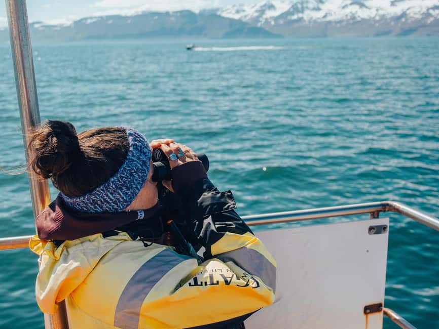 Húsavík: Family-Run and Guided Whale Watching Tour - A respectful approach to wild animals