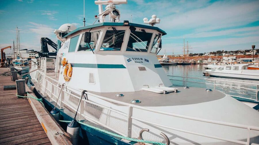 Húsavík: Family-Run and Guided Whale Watching Tour - Who will enjoy this Húsavík whale watch?