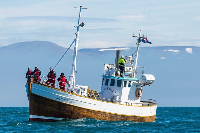Húsavík Whale Watching Tour, family owned and operated - Húsavík, not Akureyri, is the starting point