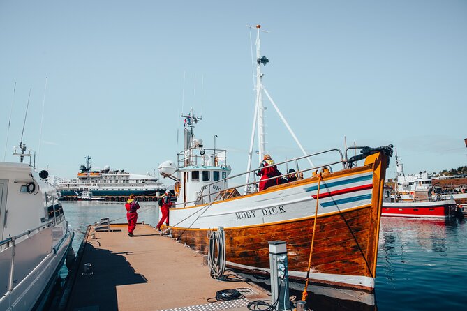 Húsavík Whale Watching Tour, family owned and operated - A three-hour route across Skjálfandi Bay