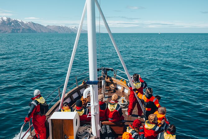 Húsavík Whale Watching Tour, family owned and operated - What whale watching really looks like