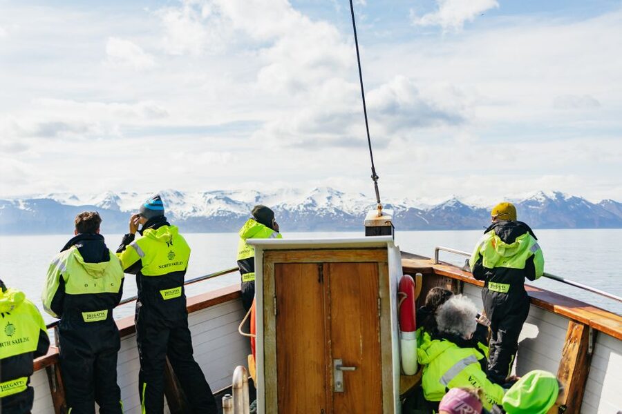 Húsavík: Whale Watching Tour with Guide - Why three hours is the right length