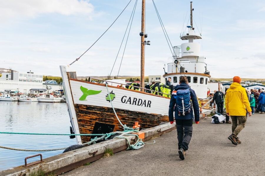 Húsavík: Whale Watching Tour with Guide - Warm overalls, rough water, and the return trip