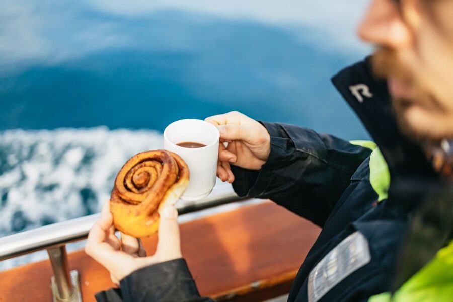 Húsavík: Whale Watching Tour with Guide - What you get for $115
