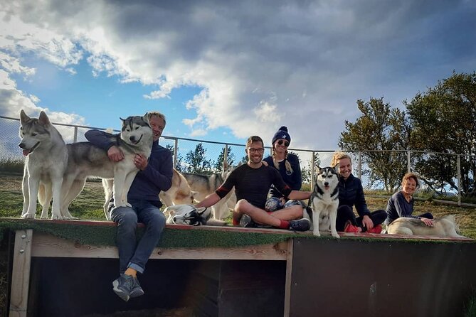 Husky Petting in Akureyri (private) - Why the hosts add so much