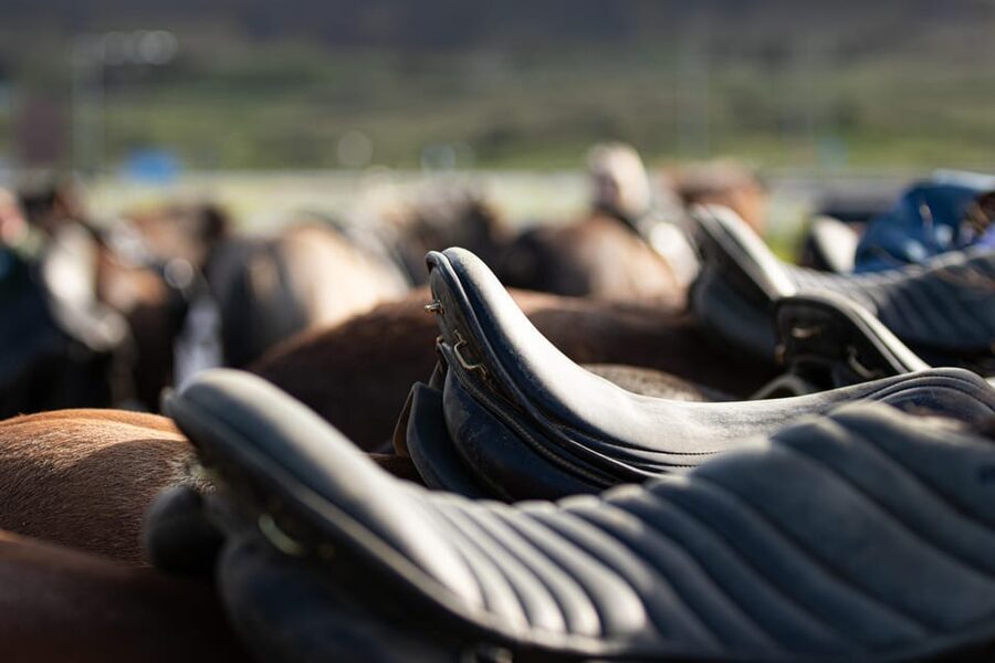Hveragerdi: Countryside Charm Horse Riding Tour - Why the short length works for families