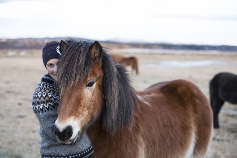 Hveragerdi: Countryside Charm Horse Riding Tour - What the tour does not promise