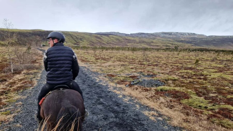 Hveragerði: Horseback Riding Tour for Beginners and … - A one-hour ride made for first-timers