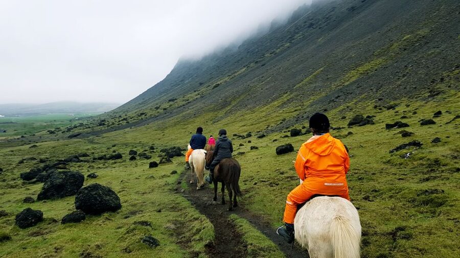 Hveragerdi: Reykjadalur (Hotspring Valley) Horse Riding Tour - What the tölt feels like