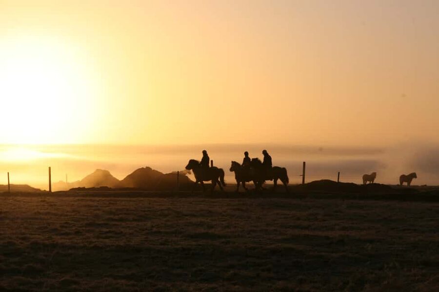 Hveragerdi: The Siggi Horse Riding Tour - From Reykjavík to the Ölfus farm