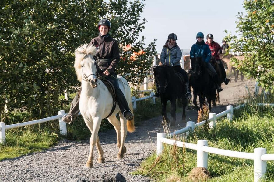 Hveragerdi: The Siggi Horse Riding Tour - Riding beside the Varmá River