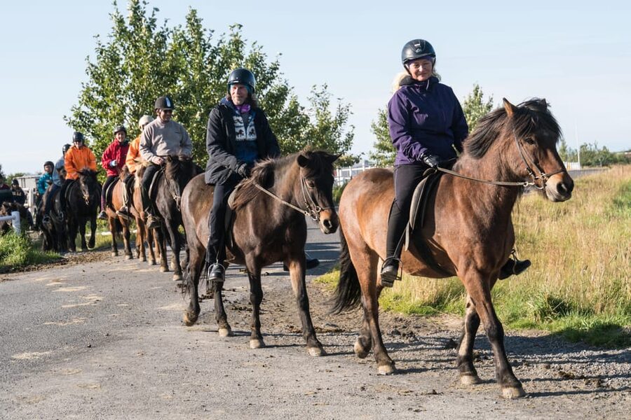 Hveragerdi: The Siggi Horse Riding Tour - Trying the Icelandic horse’s tölt