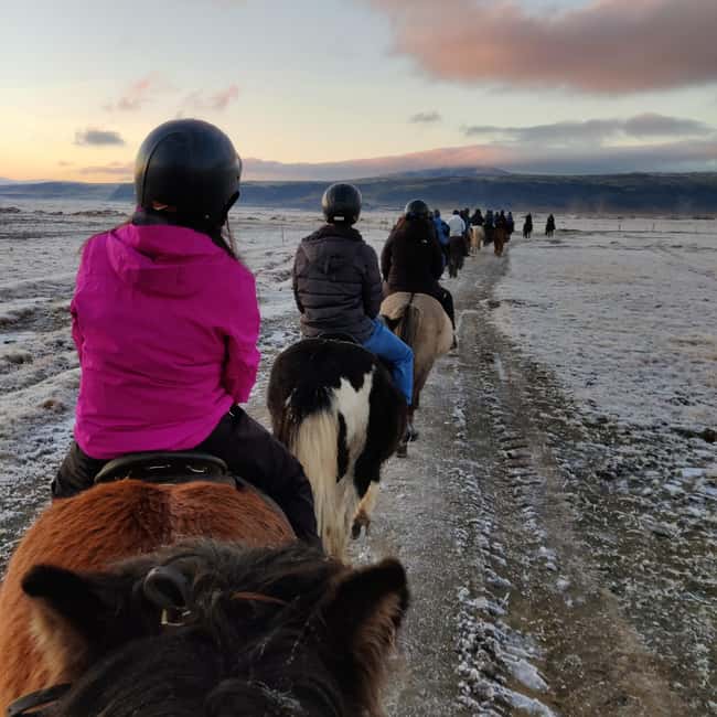 Hveragerdi: The Siggi Horse Riding Tour - What $132 buys you