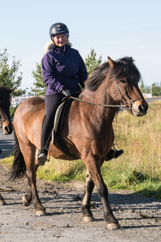 Hveragerdi: The Siggi Horse Riding Tour - Who will enjoy this ride most