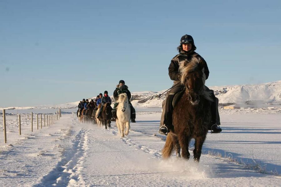 Hveragerdi: The Siggi Horse Riding Tour - Small details that improve the day