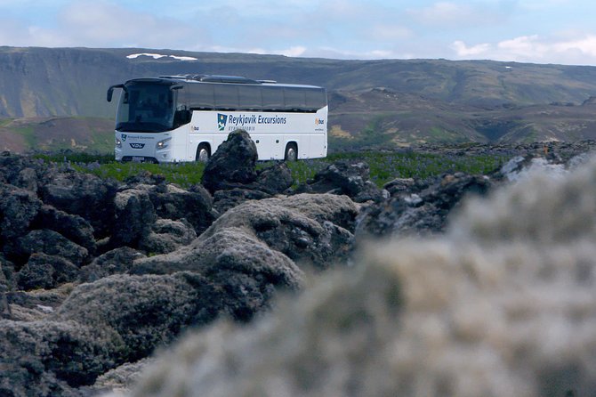 Iceland: Airport Transfers between Keflavík and Reykjavik Center - Flight-linked departures make late arrivals easier