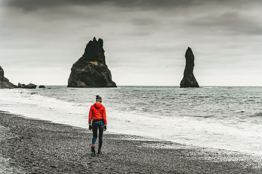 Iceland: Full-Day South Coast, Black Beach & Waterfalls Tour - From Reykjavík to the Farming Country