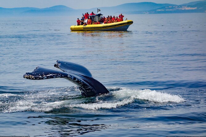 Iceland: See & Experience it ALL in 9 Days, 1st Class Custom Tours - Day 5: waterfalls and the black beach
