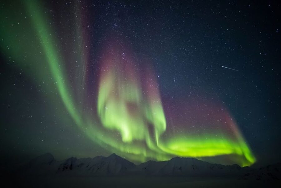 Iceland: South Coast and Northern Lights Tour - Vík, a small village with a big role