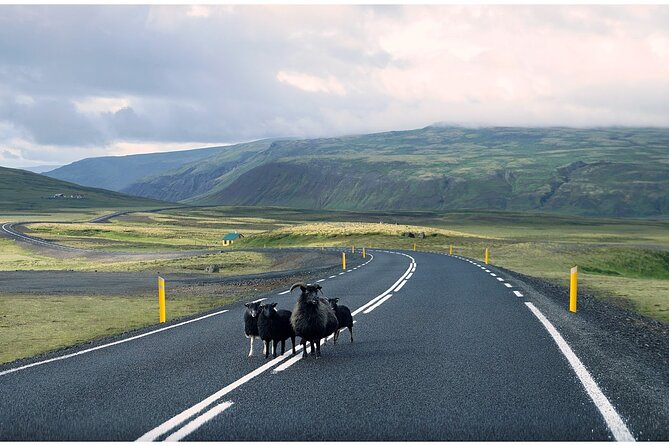 Iceland South Coast Tour with Pickup - Vík: church views and a one-hour lunch break
