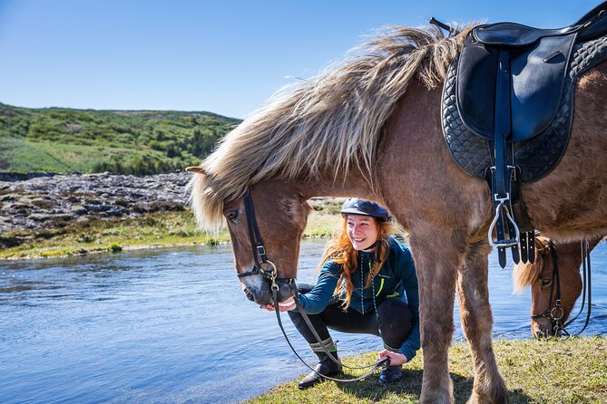 Icelandic Horse Riding and Whale Watching Tour from Reykjavik - Two Icelandic Classics in One 5.5-Hour Day