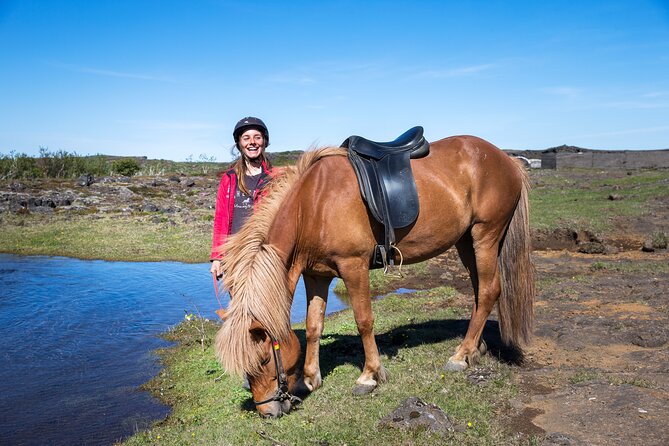 Icelandic Horse Riding and Whale Watching Tour from Reykjavik - Whale Watching Has Real Limits
