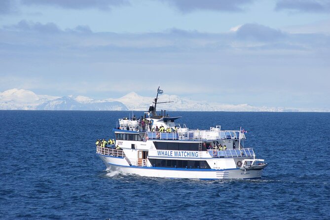 Icelandic Horse Riding and Whale Watching Tour from Reykjavik - FAQ