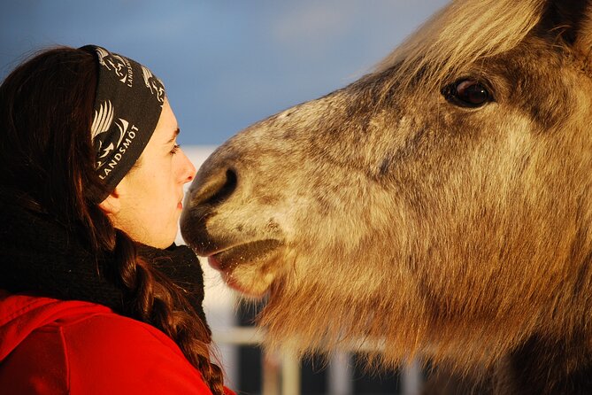 Icelandic Horse Riding and Whale Watching Tour from Reykjavik - Riding Through Lava Fields and Open Moorland
