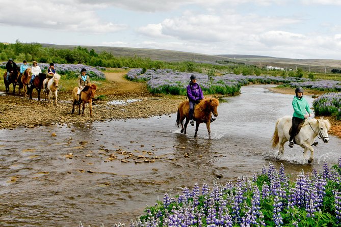Icelandic Horseback Riding Tour Including Pick Up from Reykjavik - From Reykjavik to a working family farm