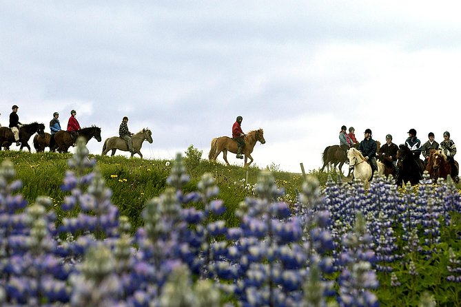 Icelandic Horseback Riding Tour Including Pick Up from Reykjavik - The trail ride through countryside and streams