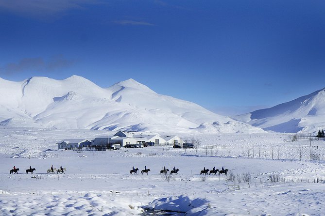 Icelandic Horseback Riding Tour Including Pick Up from Reykjavik - Price, timing, and the real value