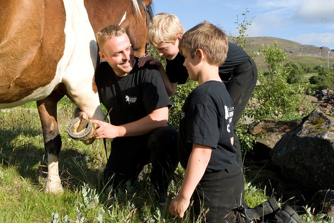 Icelandic Horseback Riding Tour Including Pick Up from Reykjavik - The small drawbacks to weigh